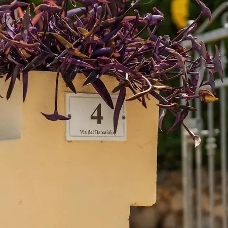 Il Posto Giusto Costa Rei
